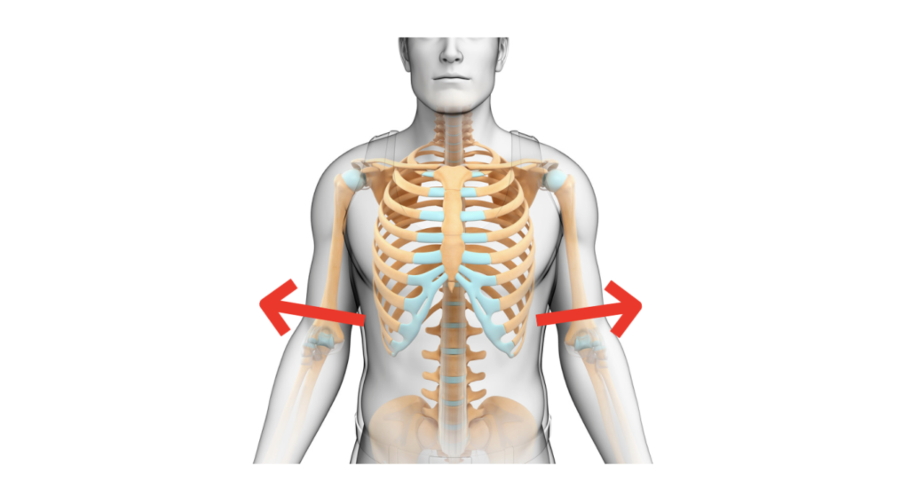くびれを作るピラティス 肋骨と骨盤の距離を作ること がくびれの秘訣 Nピラティス